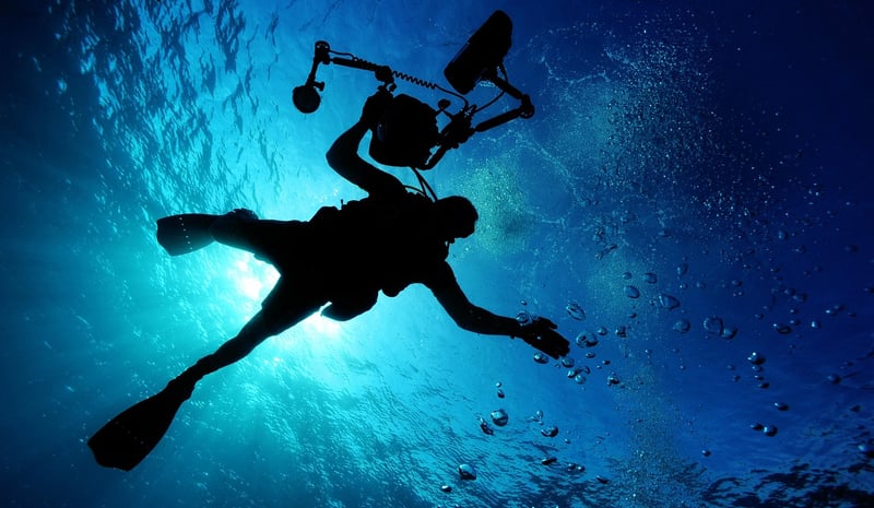 Underwater Dining Adventure